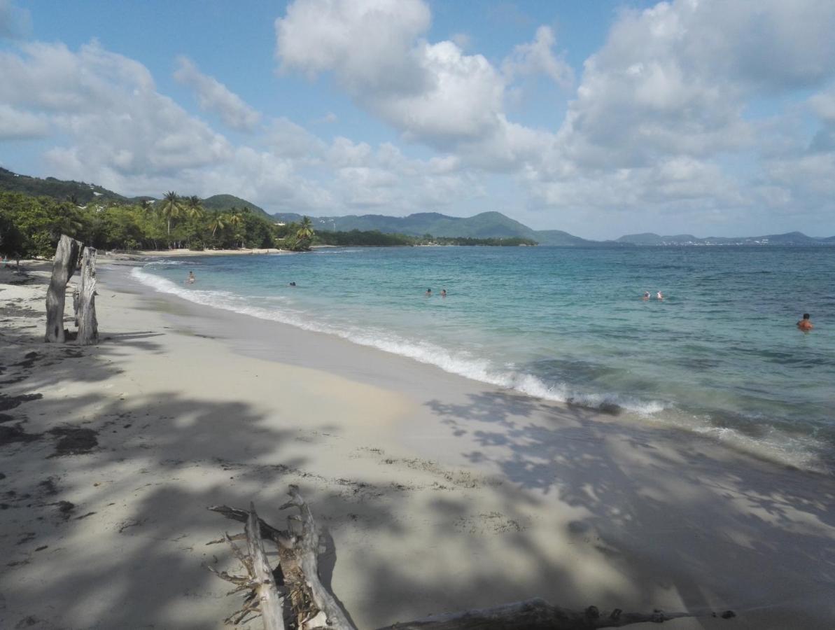 Studio - Le Ti-Colibri - Plages Et Piscine A Sainte-Luce - Martinique - Antilles Ngoại thất bức ảnh